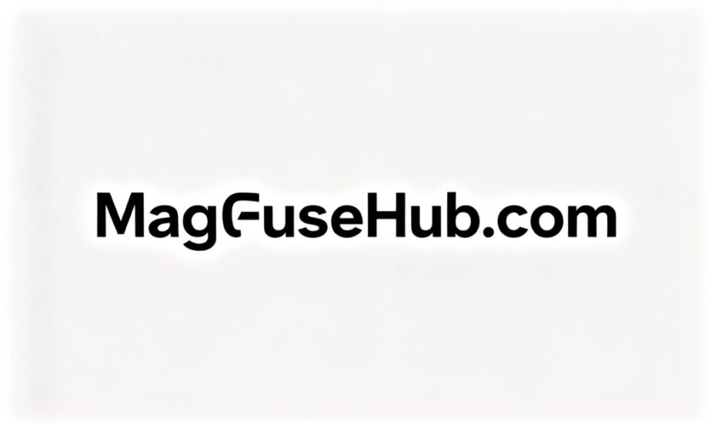MagFuseHub com